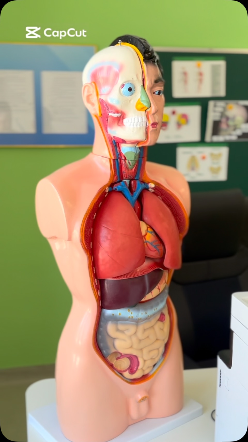 🏫«ЖАЙЛЫ МЕКТЕБІМІЗДЕ CREATIVE АШЫҚ САБАҚТАР: ТҮРЛІ ТАҚЫРЫПТАРДА ЖАҢА ТЫҢ ИДЕЯЛАР💡»